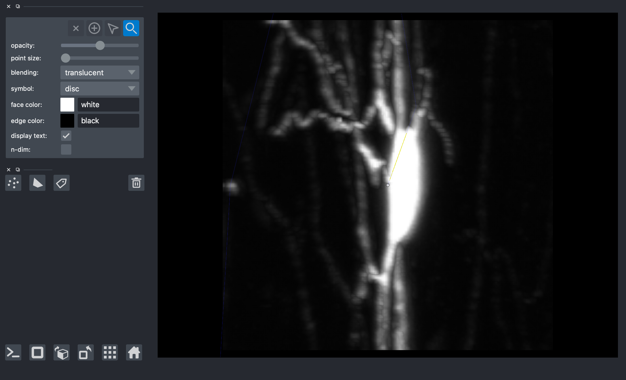 ../../_images/notebooks_utils_downloading_brains_9_0.png